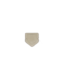 Guardian icon
