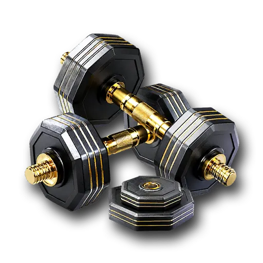 Small Weights Set gift icon