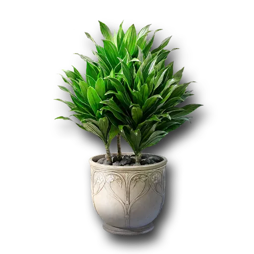 Hardy Foliage gift icon